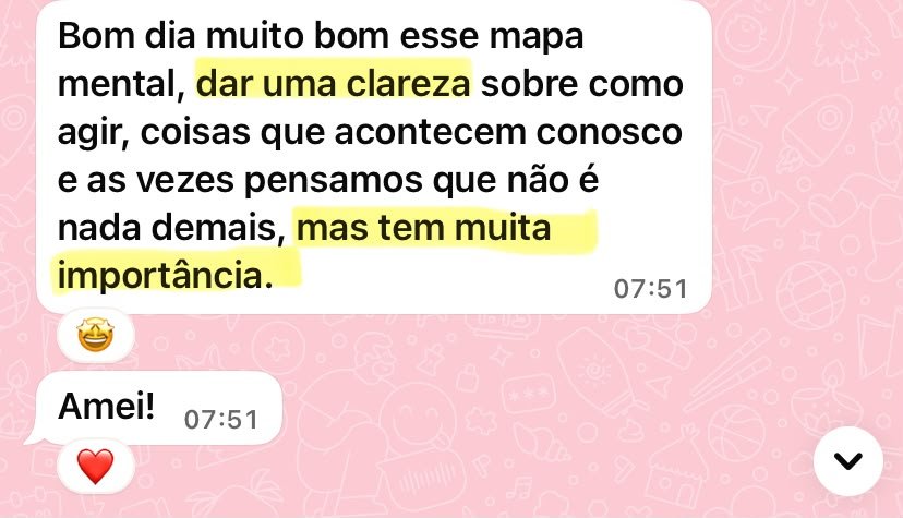 Print de WhatsApp: depoimento sobre a clareza trazida pelo mapa